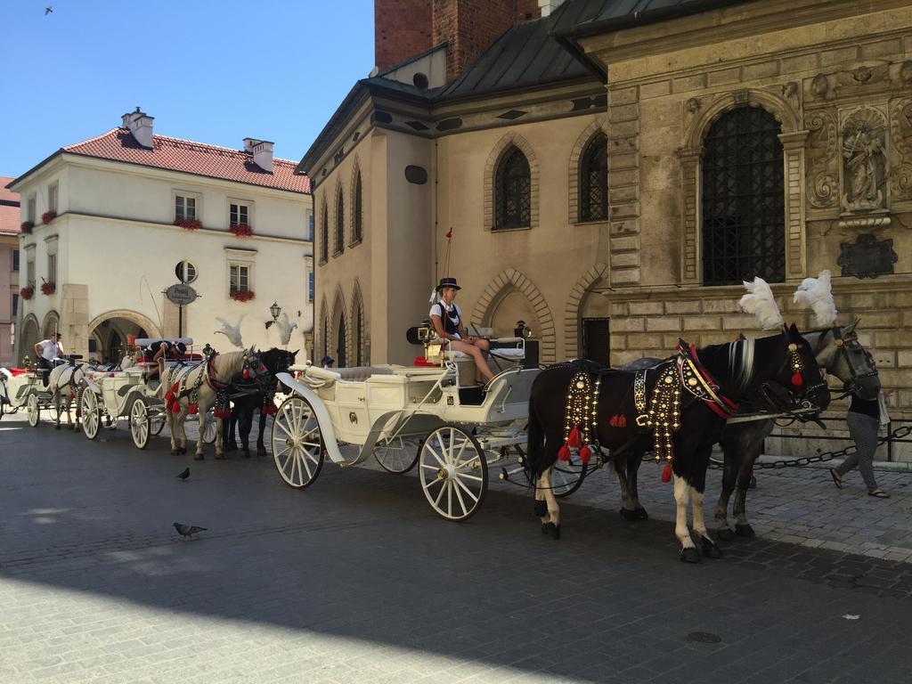 Krakow Apartments - Friedleina Studio Apartments 客房 照片