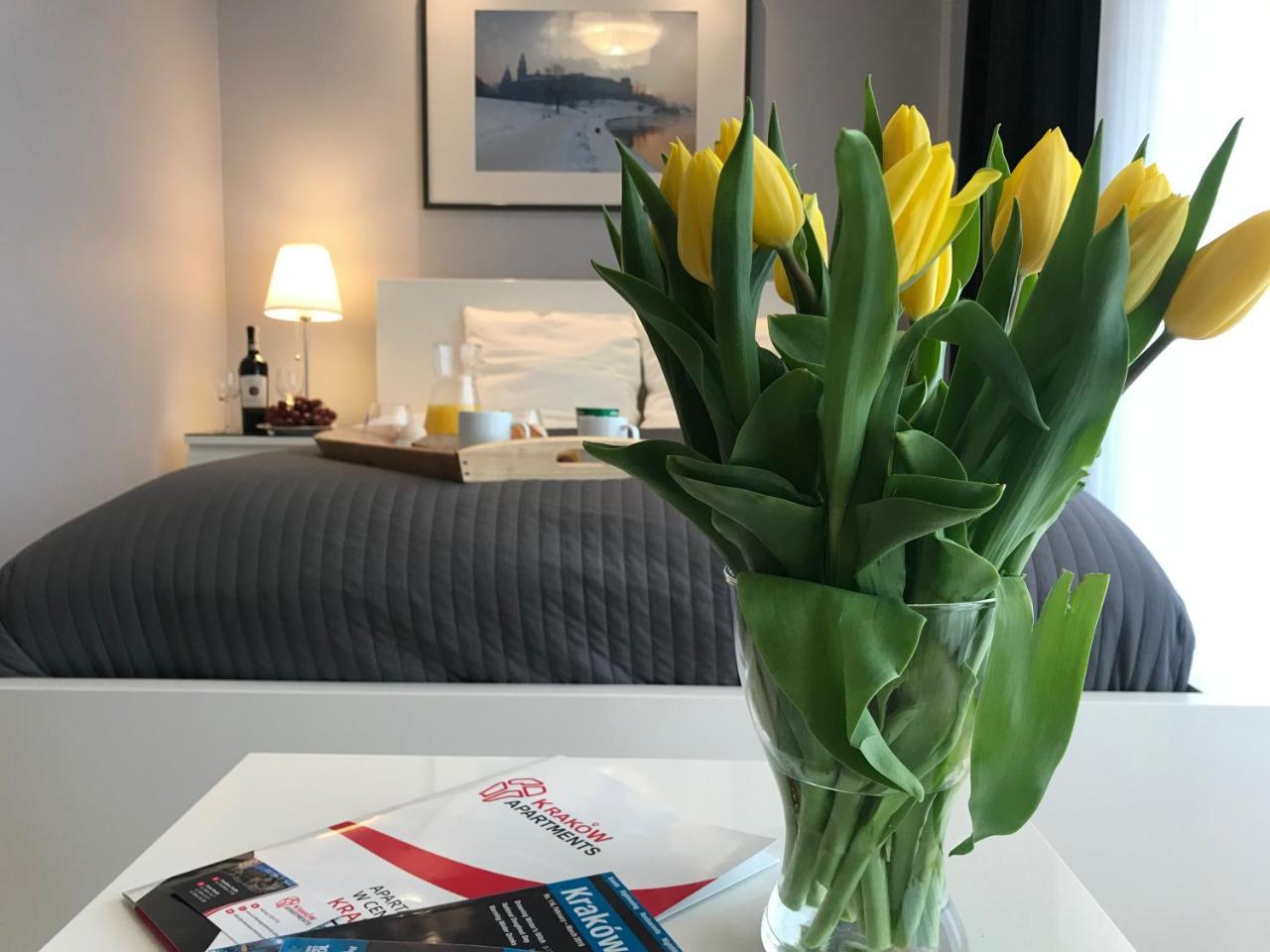 Krakow Apartments - Friedleina Studio Apartments 外观 照片